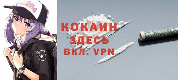 мдпв Михайлов