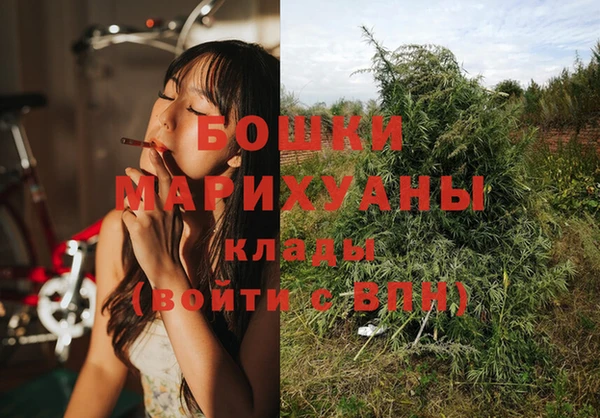 ПСИЛОЦИБИНОВЫЕ ГРИБЫ Михайловск