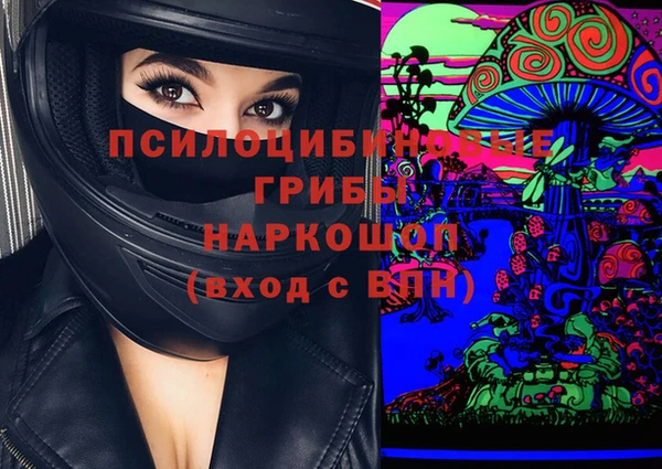 спиды Мегион