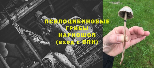 ПСИЛОЦИБИНОВЫЕ ГРИБЫ Михайловск