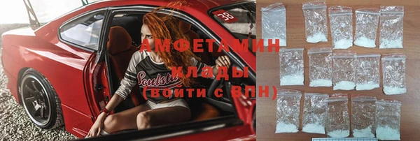 мдпв Михайлов
